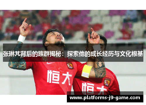 张琳芃背后的族群揭秘：探索他的成长经历与文化根基