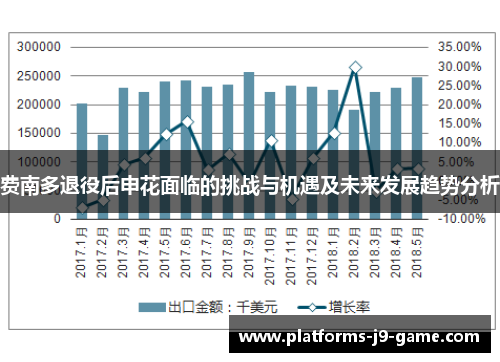 费南多退役后申花面临的挑战与机遇及未来发展趋势分析