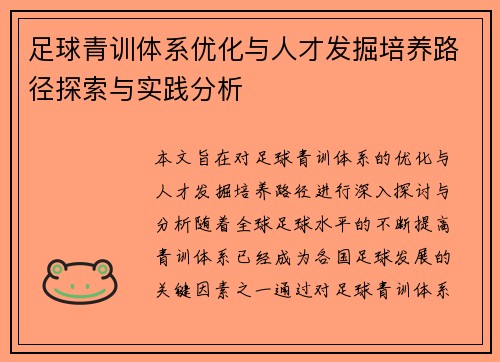 足球青训体系优化与人才发掘培养路径探索与实践分析